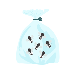 Fly Bag Monthly Change Out